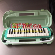 Kèn Đội Thế Gia 